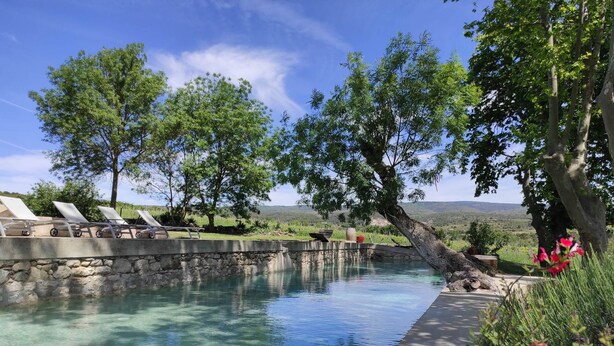 A clear pool with lounge chairs, surrounded by trees and a stone wall.