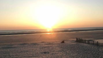 Lettini da mare