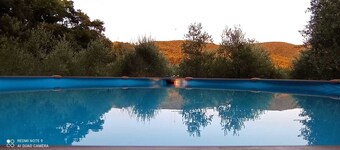 Original Mongolian yurt in the green woods
