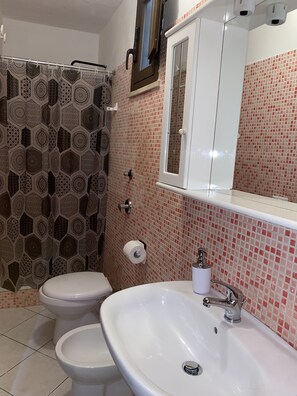 Hair dryer, bidet, towels, soap