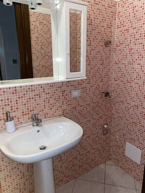 Hair dryer, bidet, towels, soap