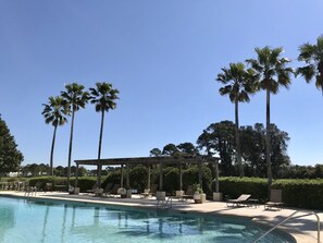 Una piscina con sillones de descanso y una pérgola, rodeada de palmeras y un cielo despejado.