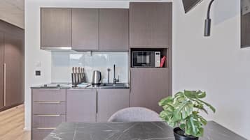 Basic Apartment | Yksityinen keittiö | Täysikokoinen jääkaappi, mikroaaltouuni, liesi, astianpesukone