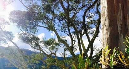 Crystal Waters & Glow Worms: EV Ready Farmhouse!