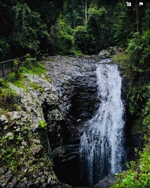 Terrain de l’hébergement 