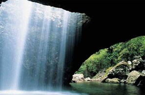 Miscellaneous - Crystal Waters & Glow Worms: EV Ready Farmhouse! (Natural Bridge)