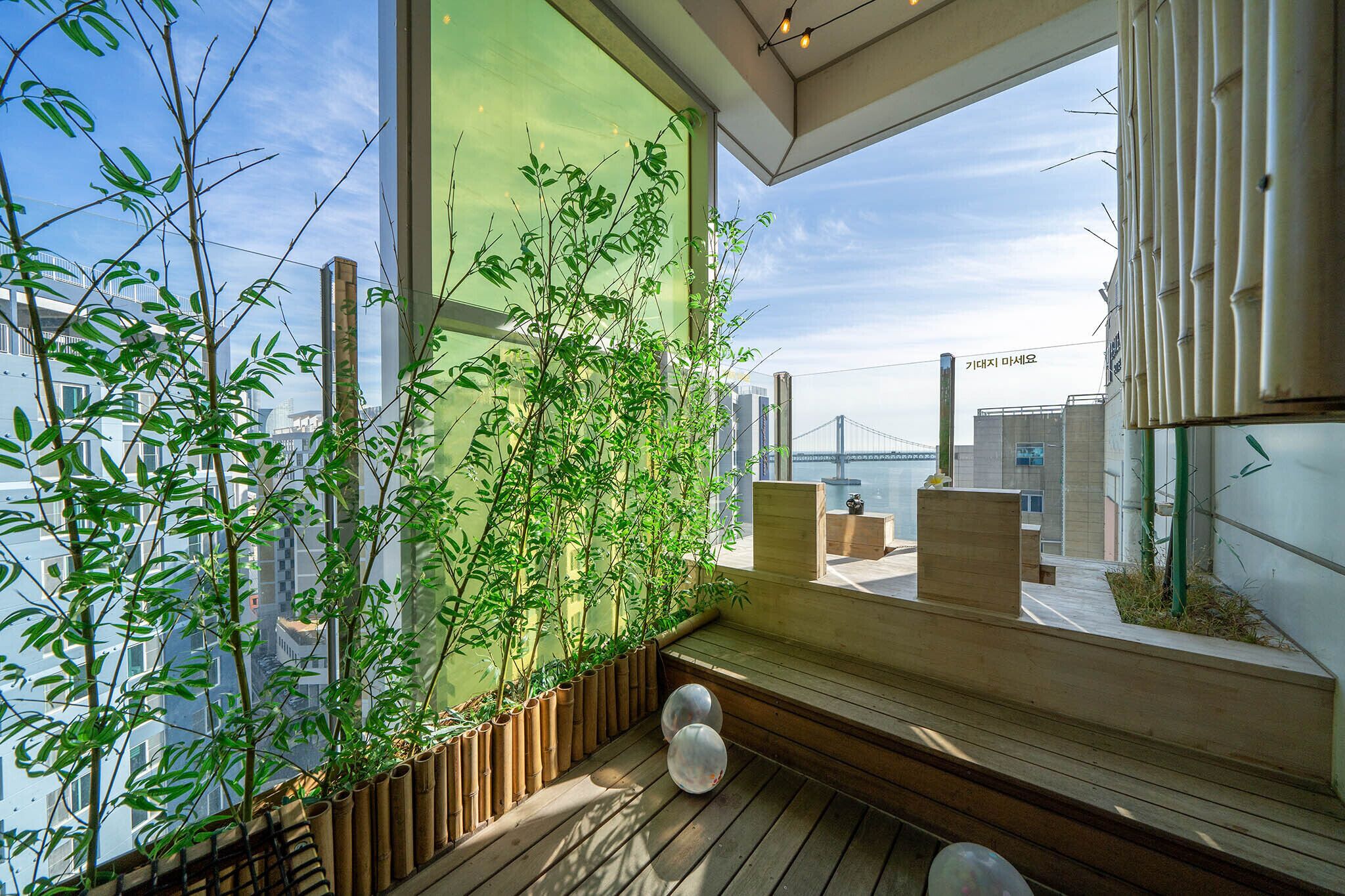 A modern interior with a large window overlooking a cityscape, wooden flooring, and a bamboo plant installation.