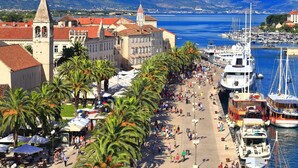 A coastal promenade lined with palm trees and historic buildings, with a marina full of boats. - A3 apt With Balcony and sea View, 3 min to Beach (Trogir)