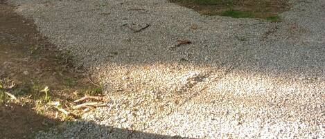 Àrea exterior de l'allotjament