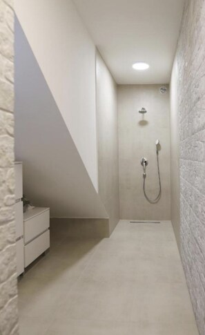Shower, free toiletries, hair dryer, bathrobes