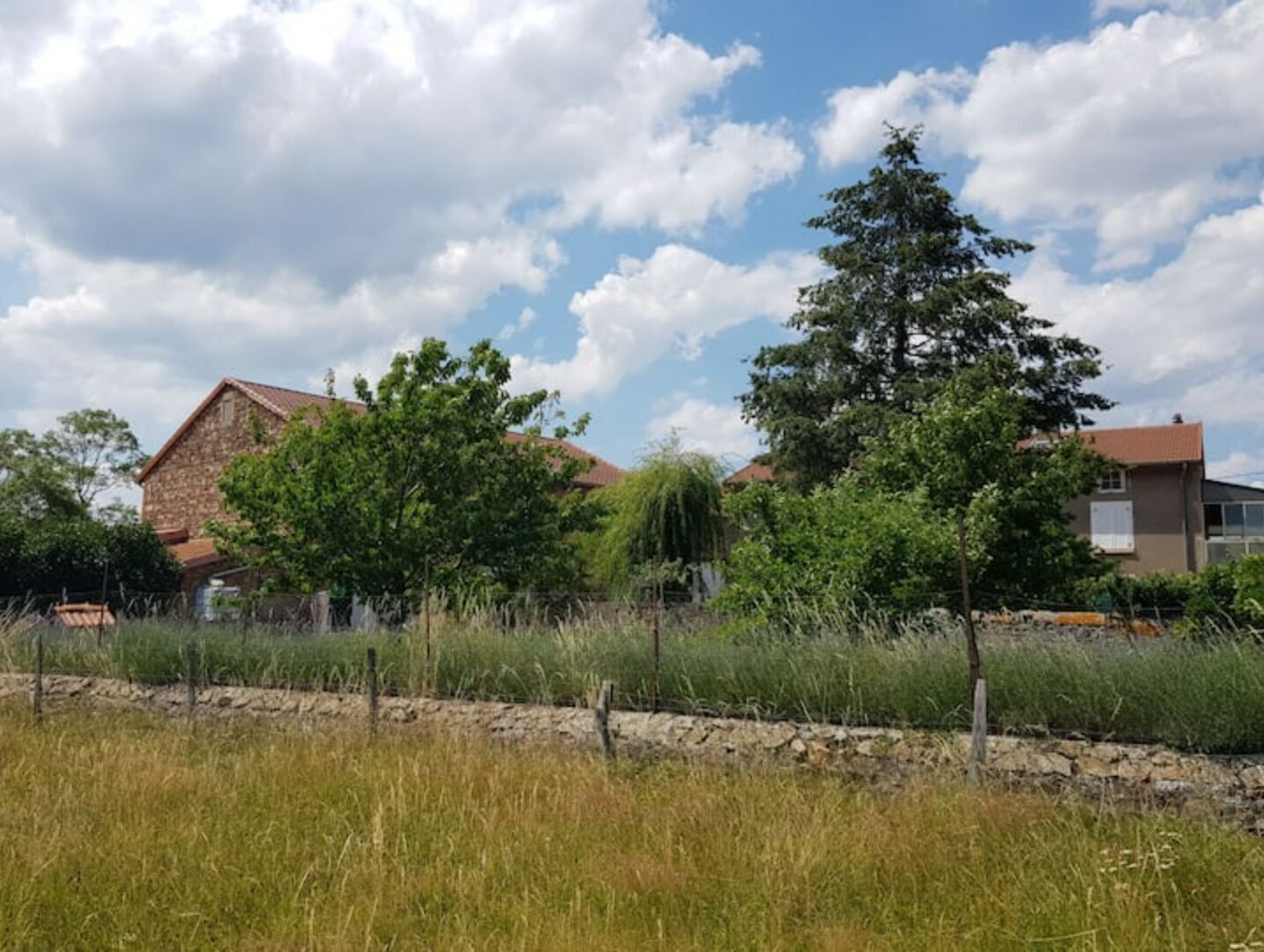 Ländliche Landschaft mit einem Steinhäuschen, einem Baum und einem Zaun.