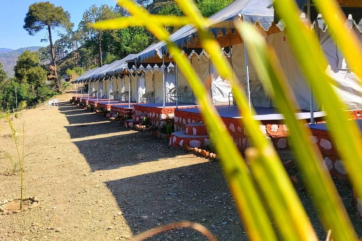 Une rangée de tentes, avec un chemin de gravier menant à elles, se dressant sur un fond de forêt et de collines.