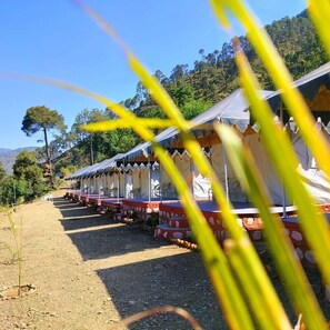 Standard Tent - Hill Springs Resort And Cafe (Rajgarhi)