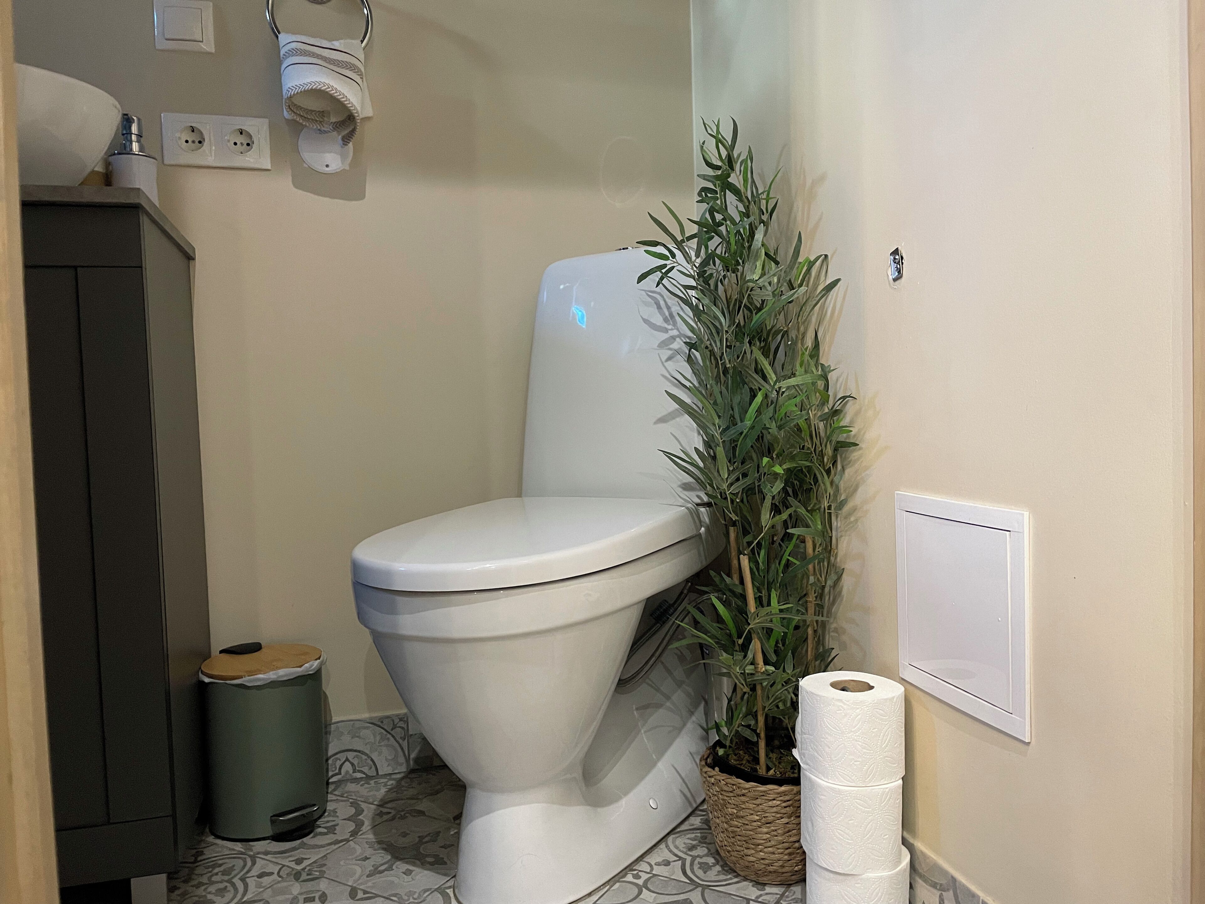 A bathroom with a toilet, a trash bin, a potted plant, and a roll of toilet paper.