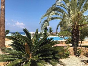 Zona de piscina con palmeras y vista al océano.