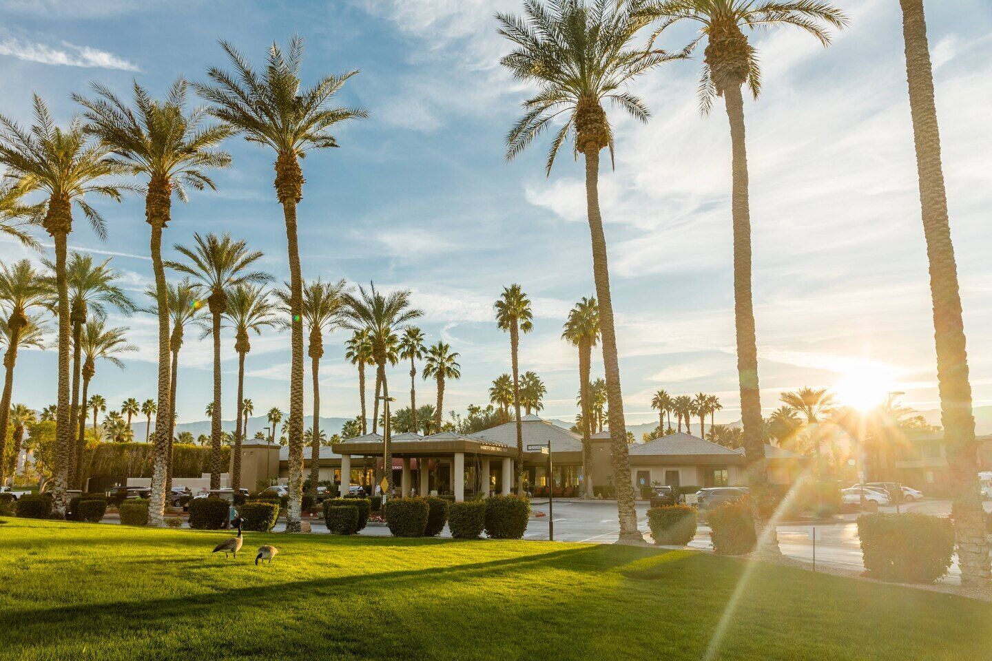 The Villages in Palm Desert - Studio