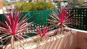 A rooftop garden with red-leafed plants, a green fence, and a view of a hillside town. - D-1 Studio with terrace and views (Malaga)