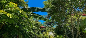 Carpe Diem Villas & Resort