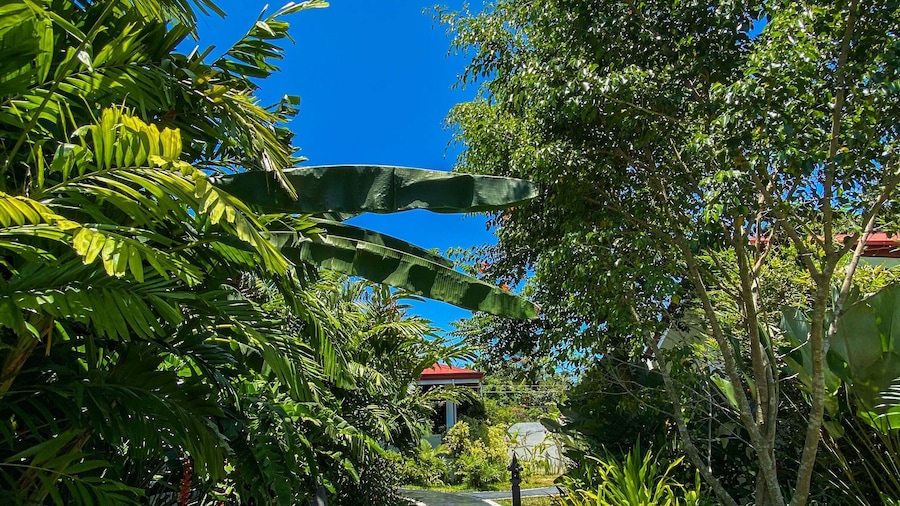 Carpe Diem Villas & Resort