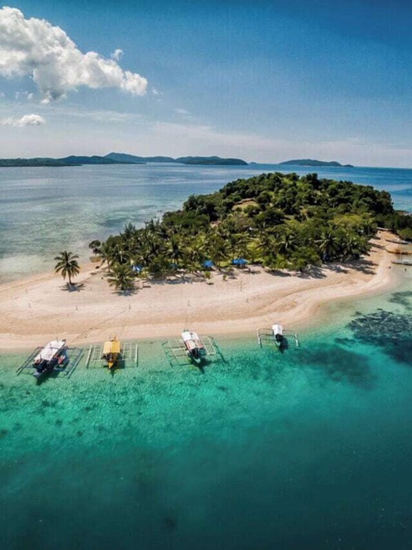 Scuba diving - Carpe Diem Villas & Resort Dive & Stay resort (Puerto Princesa)