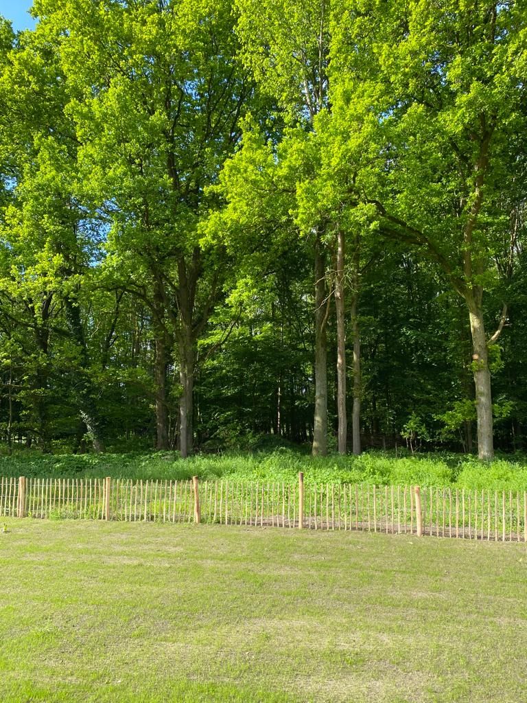 Blick von der Terrasse in den Wald / Grundstück ist vollständig eingezäunt 