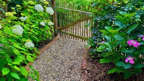 A gravel pathway leading to a wooden gate, surrounded by lush greenery and various plants. - New charming half-timbered house by the lake in the idyllic Münsterland region (Warendorf)