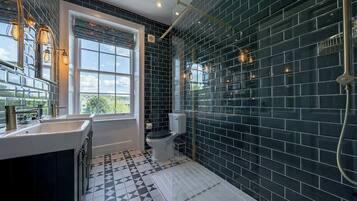 Shower, hair dryer