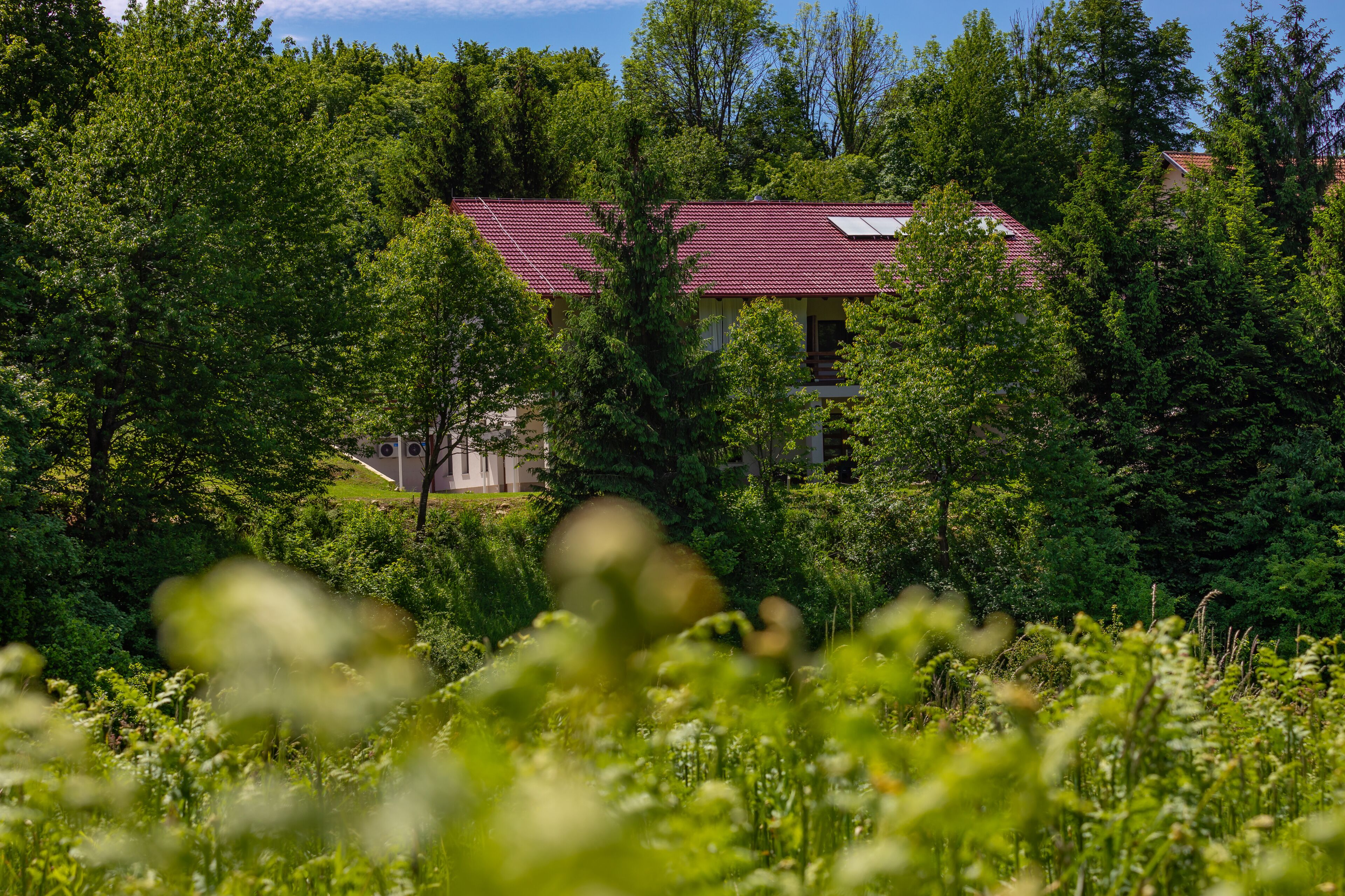 A house with a red roof surrounded by dense green trees.
