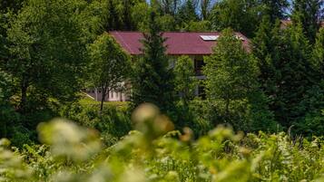 A house with a red roof surrounded by dense green trees.