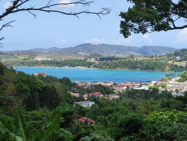 Alberca