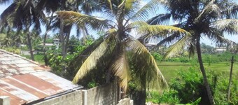 Hendy Bungalow