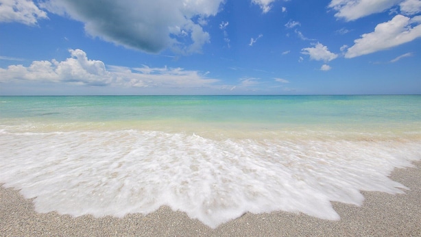 A beach with clear turquoise water and a sandy shore. - Stunning 3 Bedroom / 2.5 Bath Condo Steps from Siesta Key Beach! (Siesta Key)