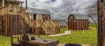 Dixie, set in a wonderful wild flower meadow in Elsing, Norfolk