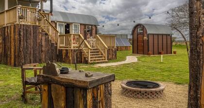 Dixie, set in a wonderful wild flower meadow in Elsing, Norfolk