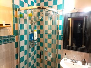 Shower, hair dryer, towels, toilet paper