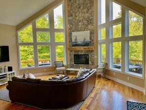 TV connectée, cheminée, lecteur de DVD, livres