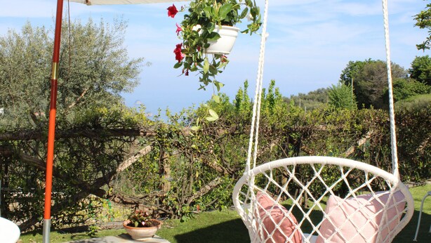 Uma cadeira de vime branca com almofada, uma planta pendente com flores vermelhas e uma mesa com guarda-sol branco.