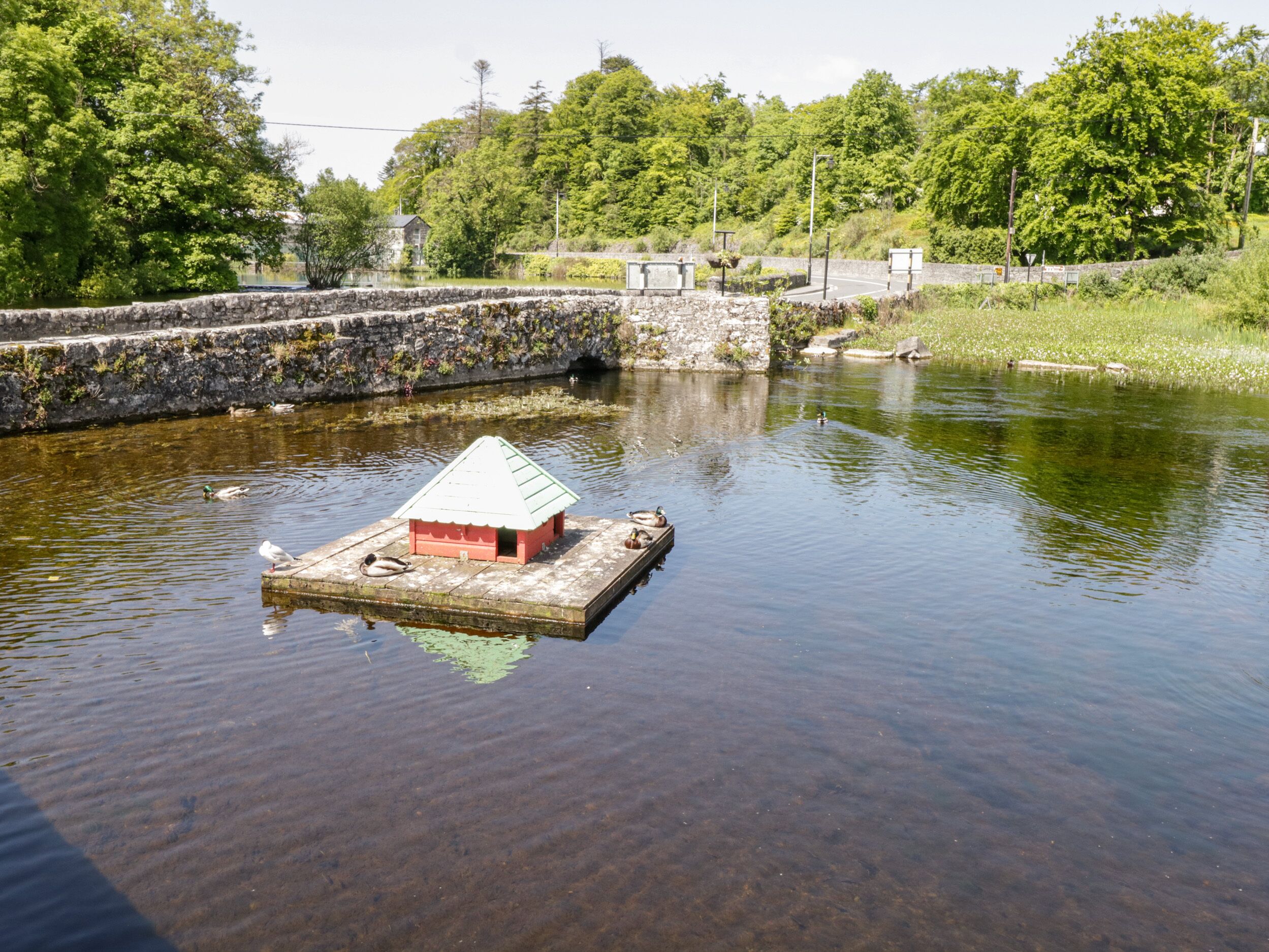 A small wooden dock with a red and white structure, surrounded by calm water and greenery.