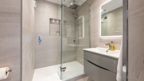 Shower, hair dryer, towels