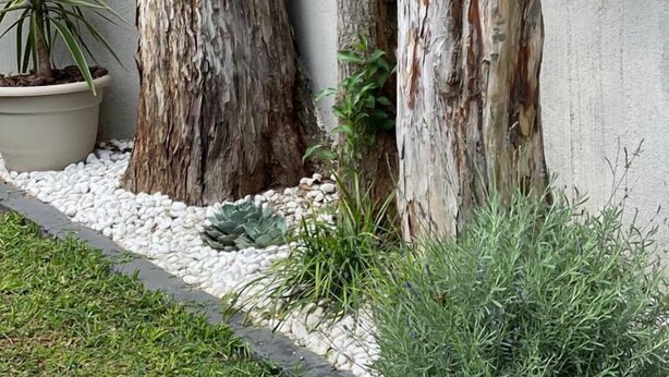 A garden with two large trees, a hanging planter, and a potted plant. - Exquisite one bedroomed apartment - 2043 (Bulawayo)