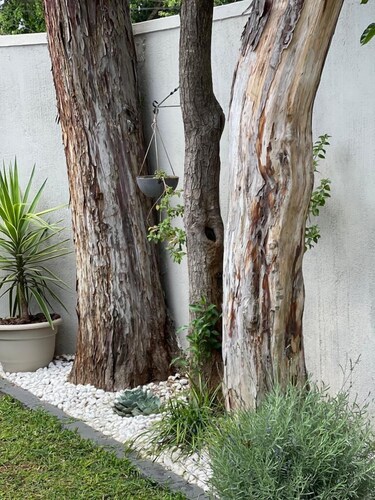 Exquisite one bedroomed apartment - 2043