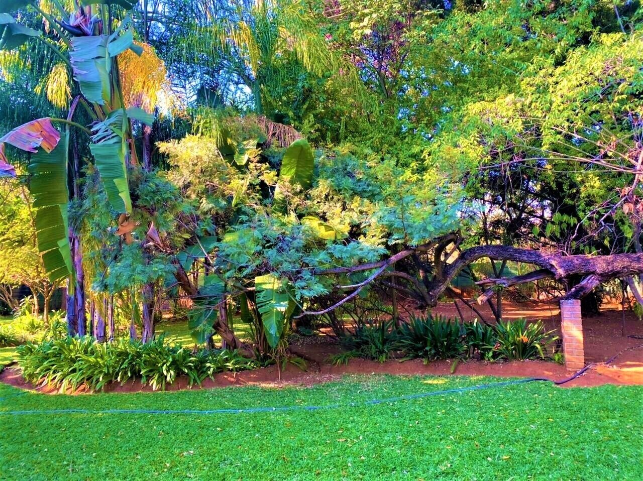 Parco della struttura