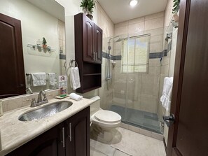 A modern bathroom with a glass-enclosed shower, a toilet, and a sink with a mirror above it. - The perfect home away from home (Playas del Coco)