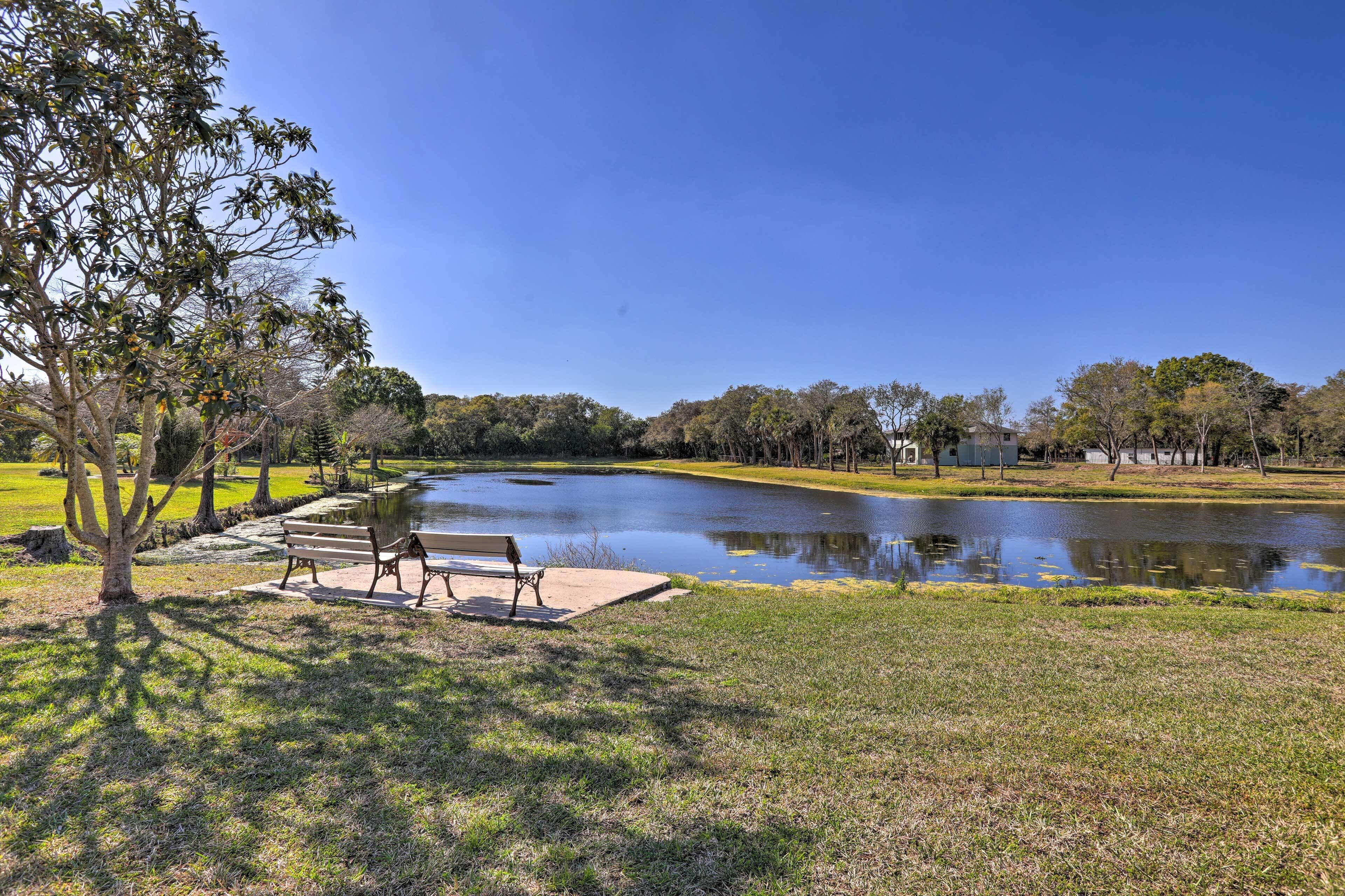 A park with a pond, benches, and trees.