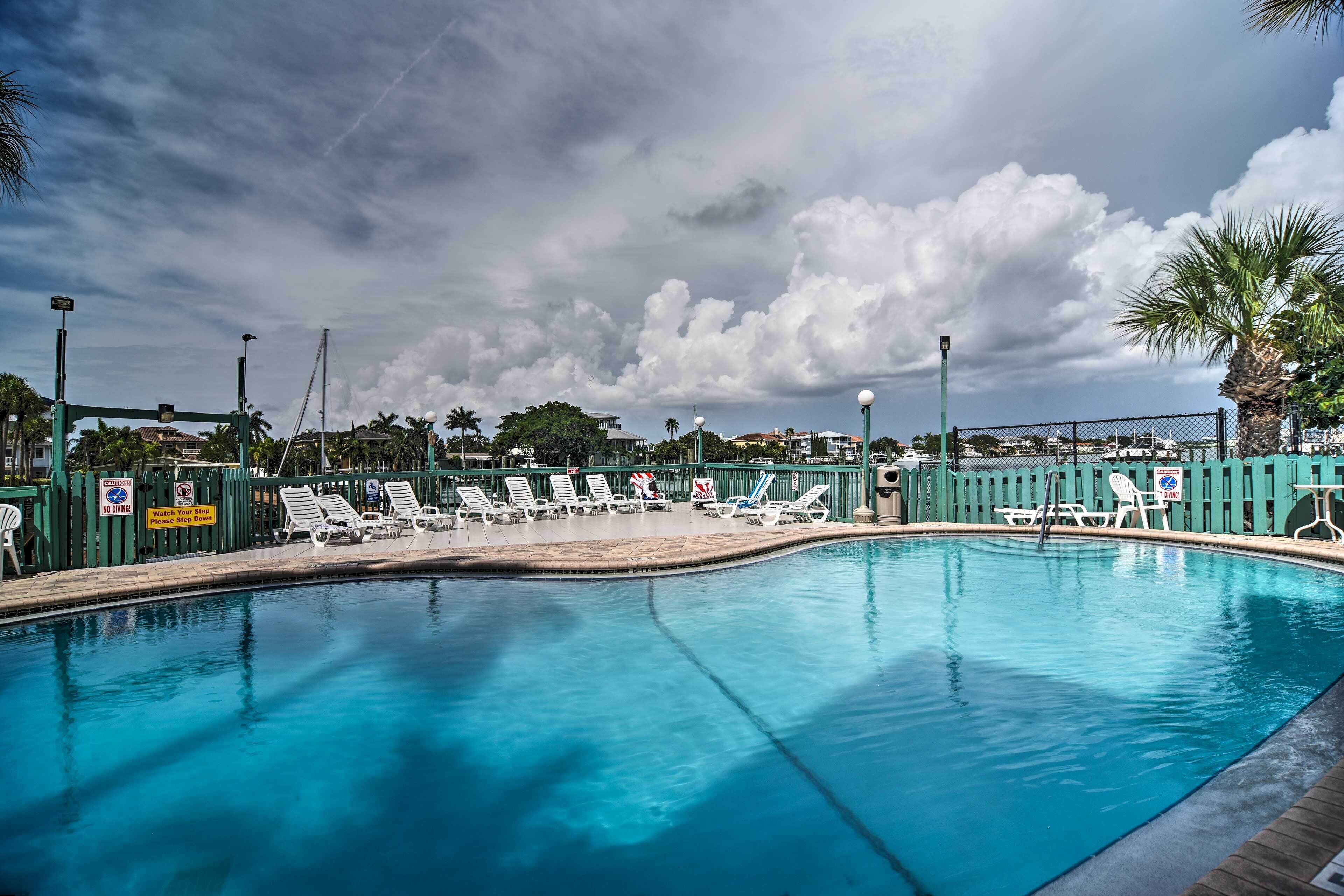 A swimming pool with lounge chairs, a fence, and palm trees.