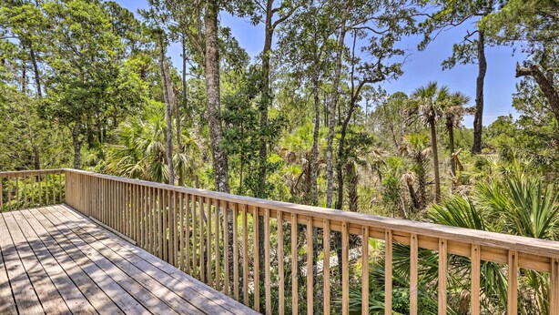 A wooden deck with a railing overlooking a dense forest with various trees and shrubs. - Bright Steinhatchee Home: Proximity to Ocean! (Steinhatchee)