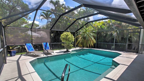 Una piscina cubierta con sillas de descanso y una palmera.