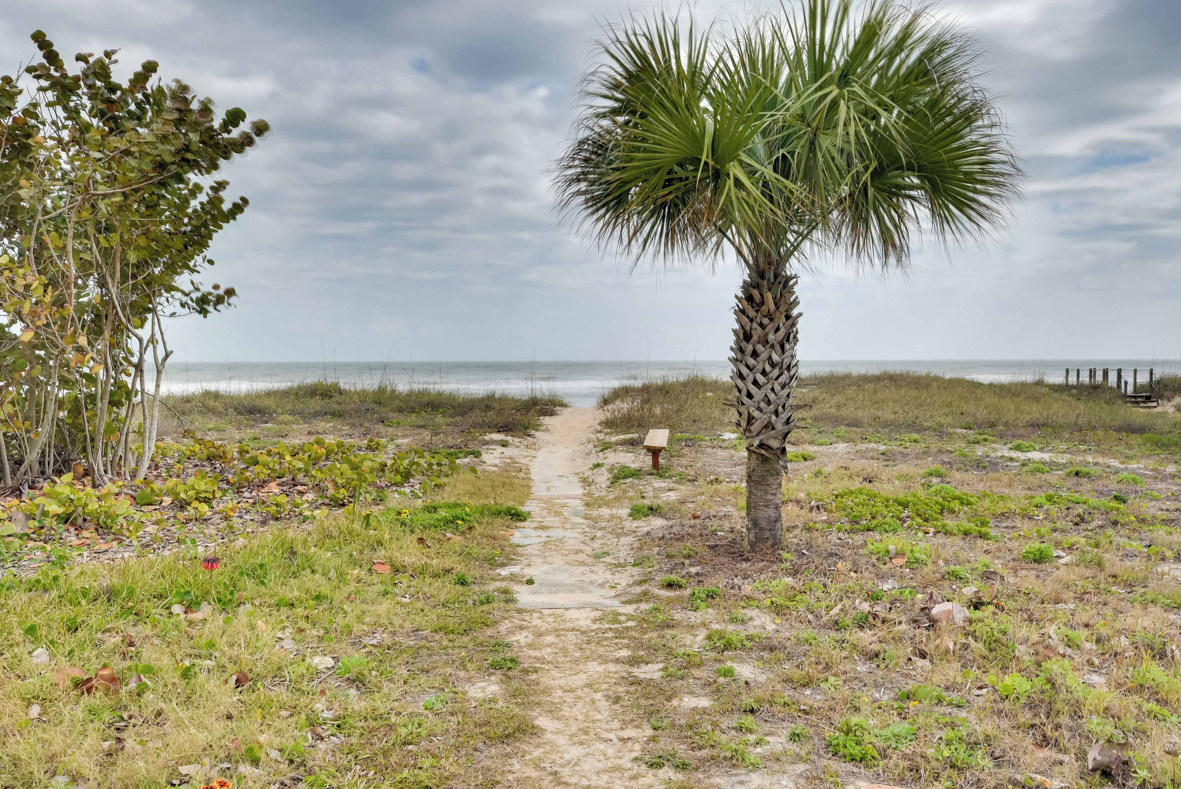 A coastal path with a palm tree, grassy areas, and a distant view of the ocean.