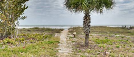 A coastal path with a palm tree, grassy areas, and a distant view of the ocean.