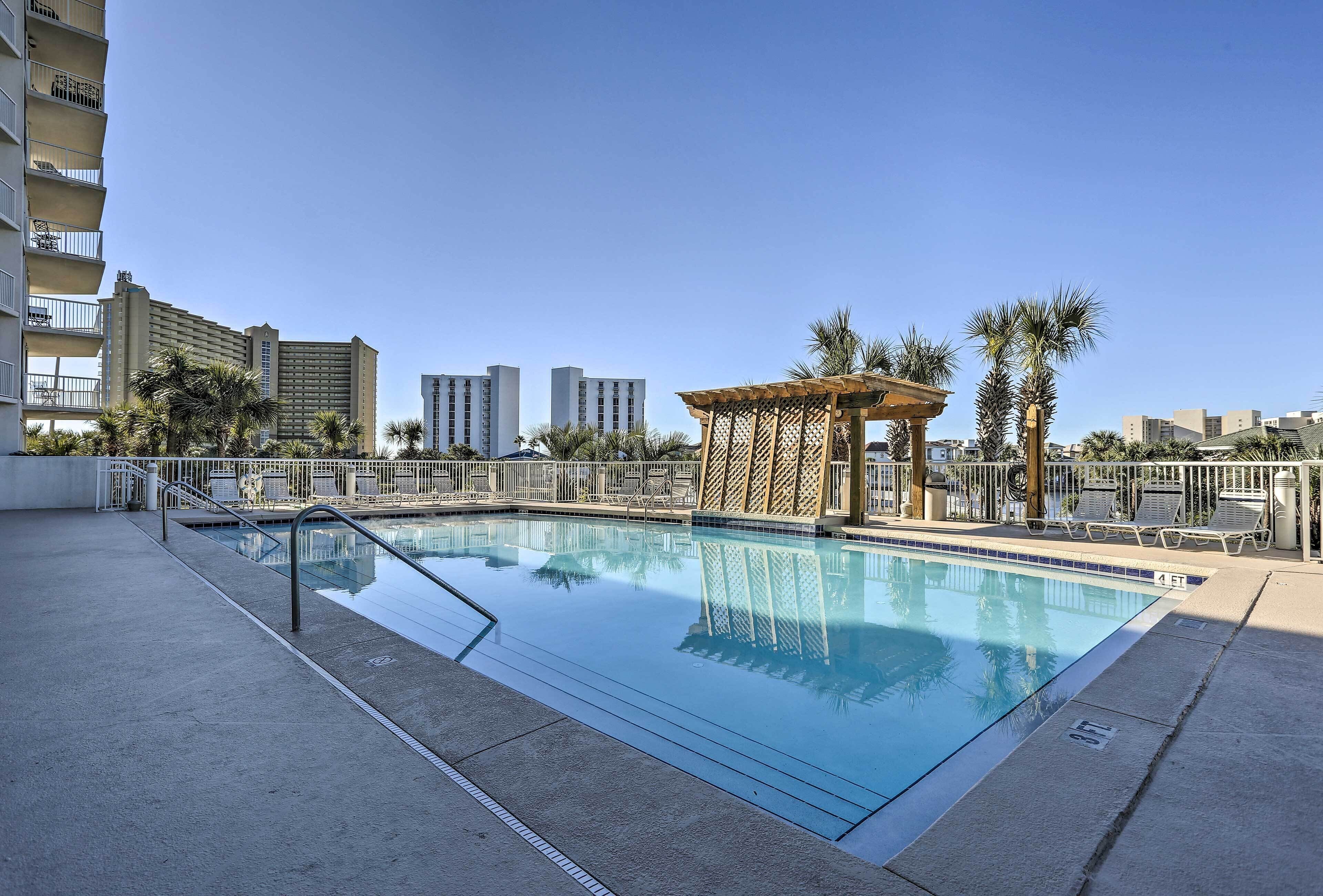 A rooftop swimming pool with a pergola and lounge chairs, surrounded by palm trees and high-rise buildings.
